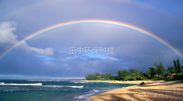 生物降解有機物的來源有哪些？如何處理-樂中環保