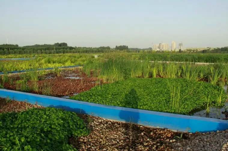人工濕地污水處理技術導則是什么(人工濕地污水處理工藝) 人工濕地污水處理技術導則是什么(人工濕地污水處理工藝)